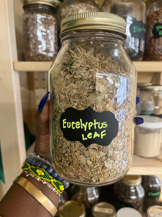 Eucalyptus leaf 