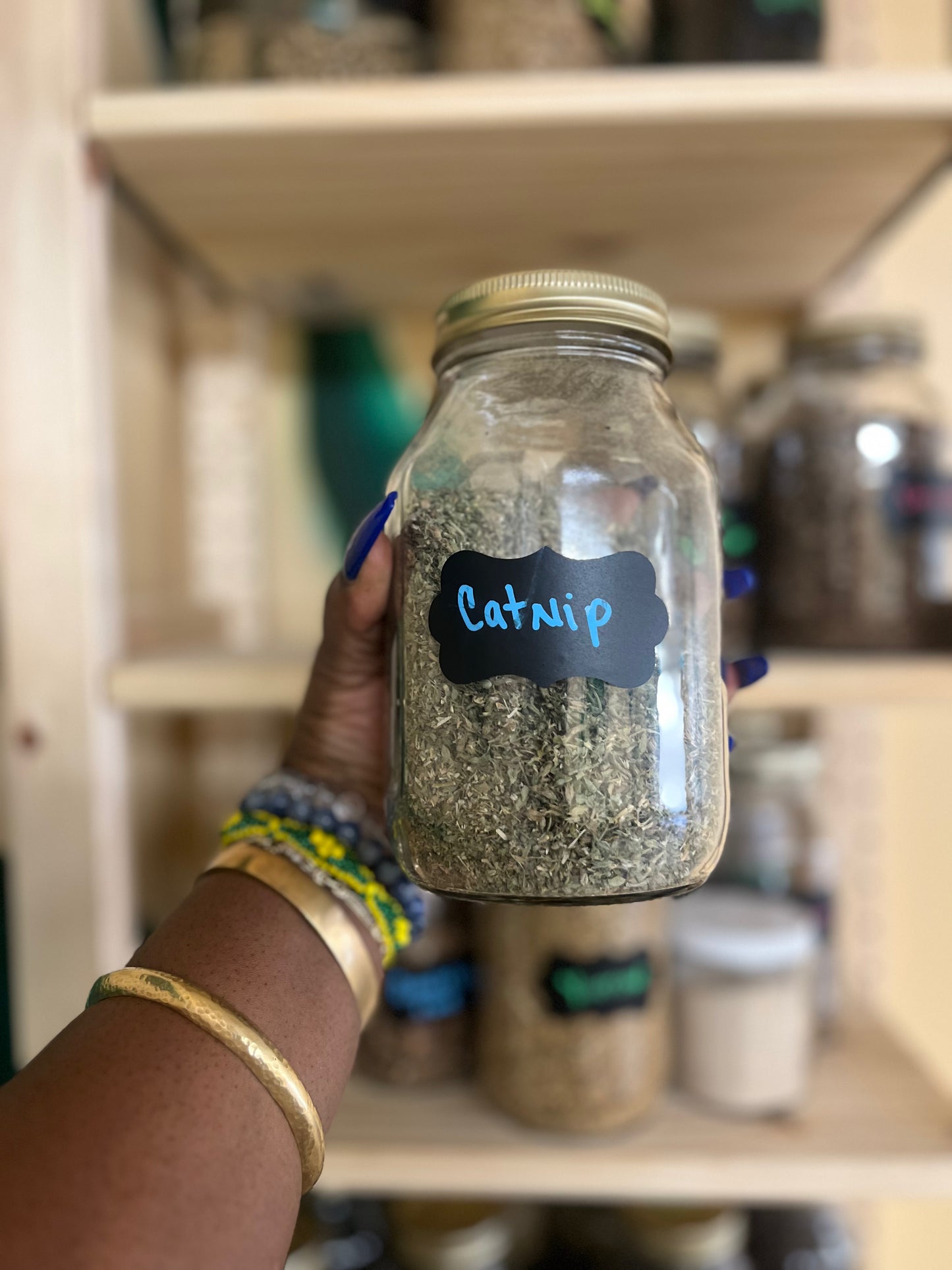 Catnip