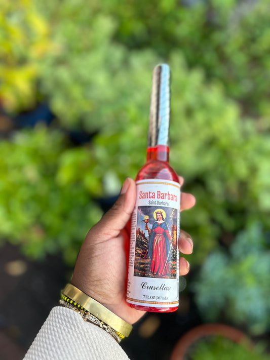 Santa Barbara Cologne 