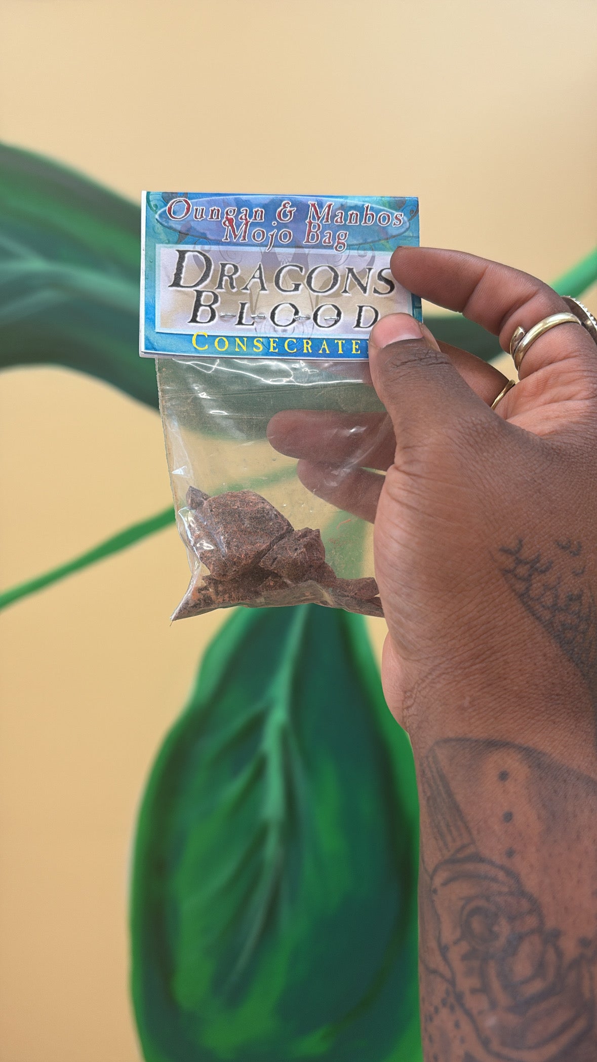 Dragons Blood