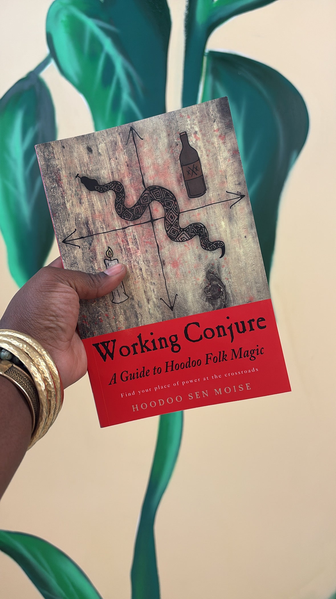 Working Conjure A guide to HooDoo Folk Magic