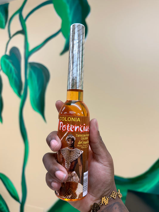 7 African Powers Cologne
