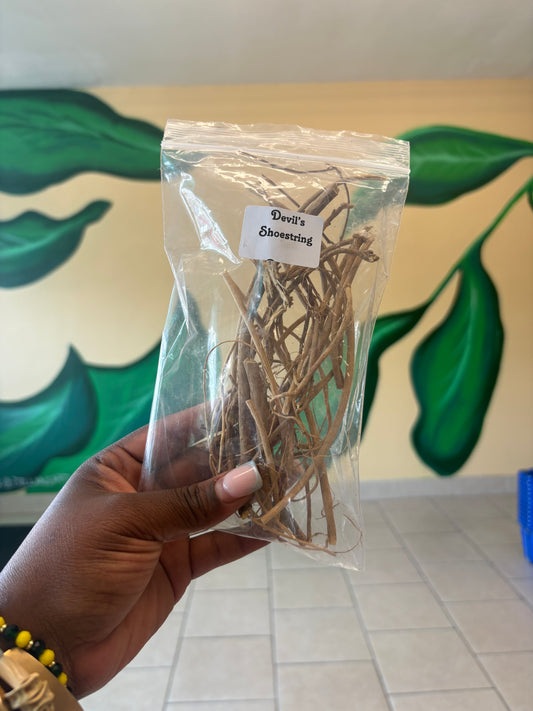 Devil’s Shoestring (Loose Root)
