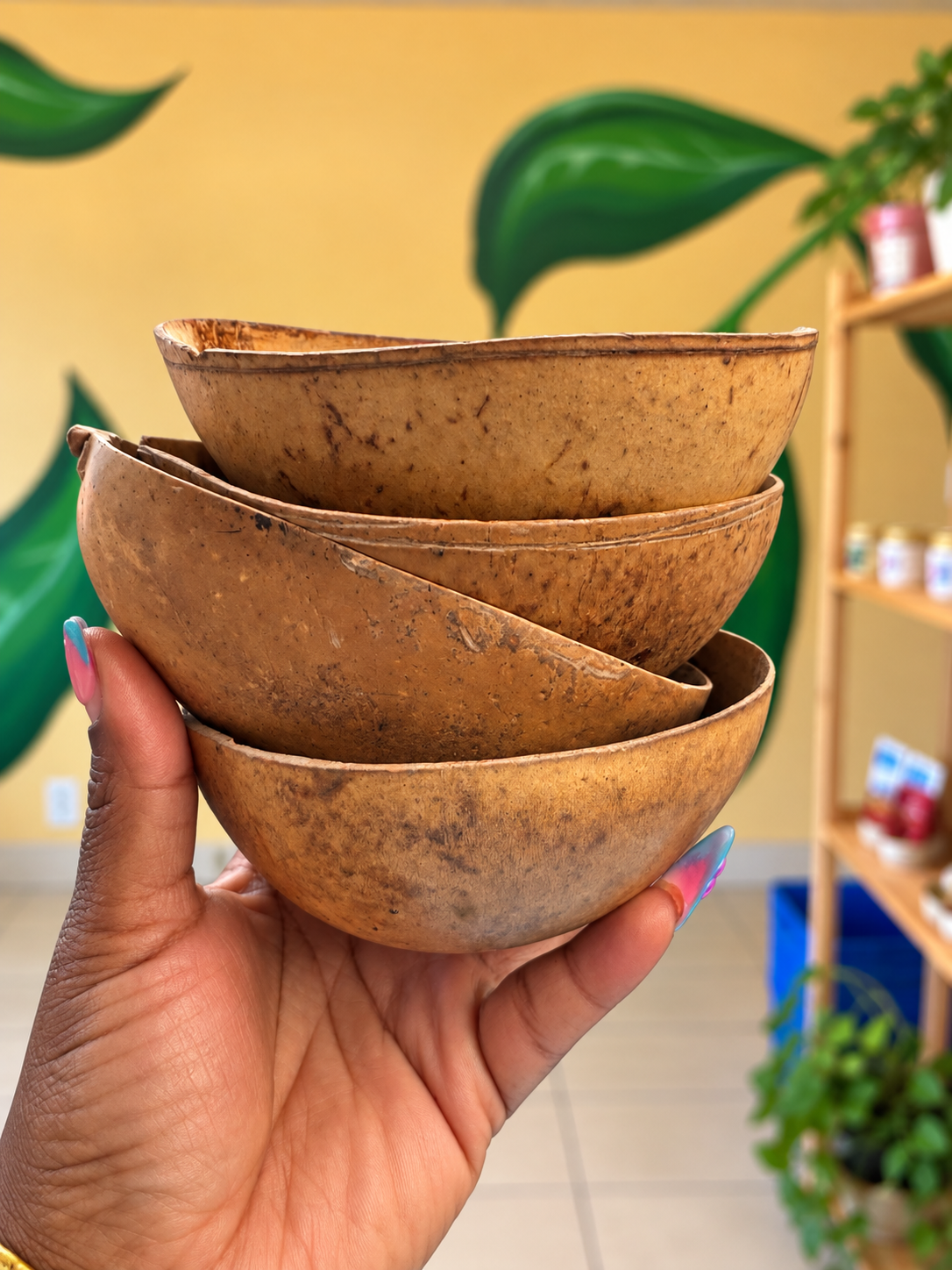 Natural Calabash Bowls